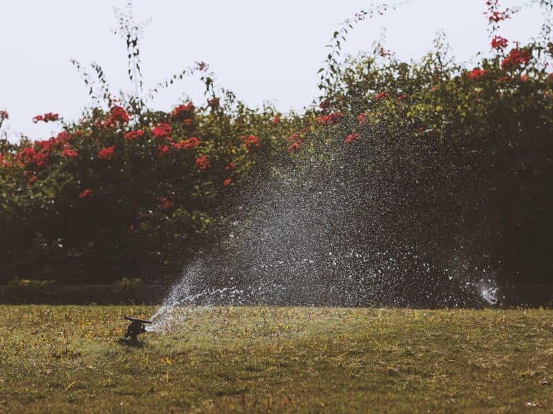 Sprinkler Systems and Drainage: What Big Sandy Homeowners Need to Know